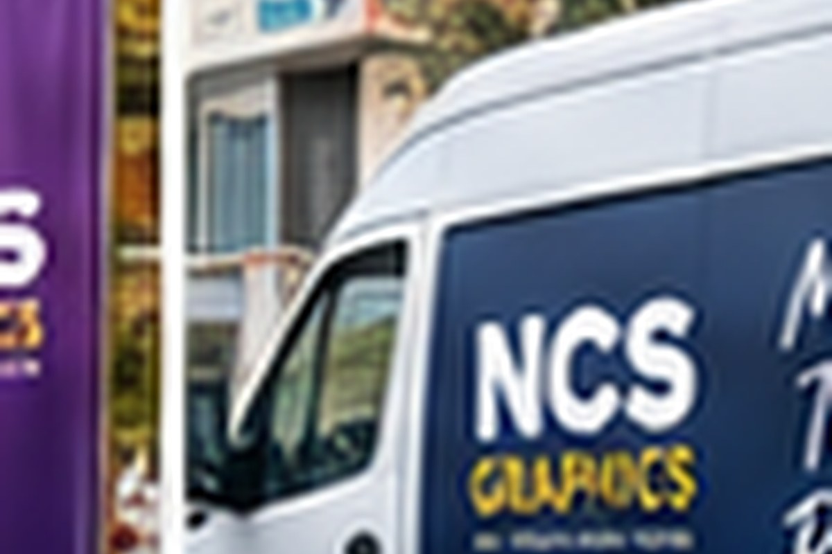 Vehicle branding graphic example
